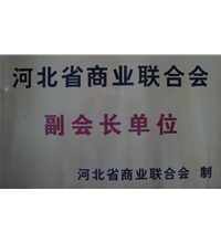 河北省商業(yè)聯(lián)合會副會長單位-酒店洗衣房設(shè)備